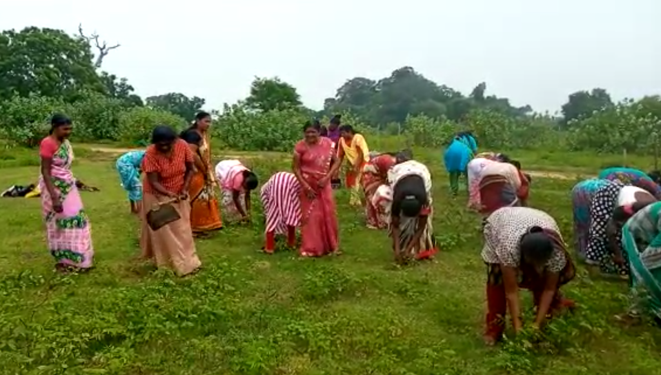Sri Lankan Police Disrupt Maaveerar Naal Preparations At Kanchikudiyaru 